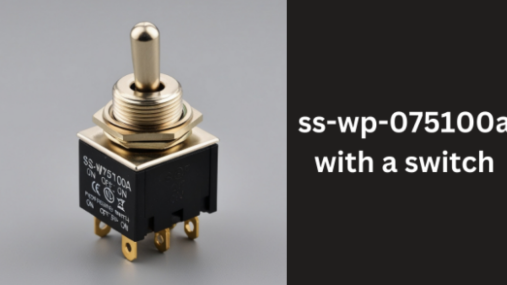 Advantages of Using SS-WP-075100A with a Switch: Reliable, Versatile, and Cost-Effective Electrical Control